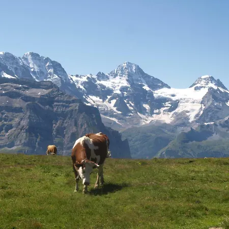 Gästehaus Seeblick Hotel 2*